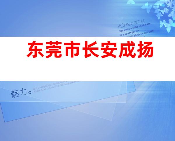 东莞市长安成扬